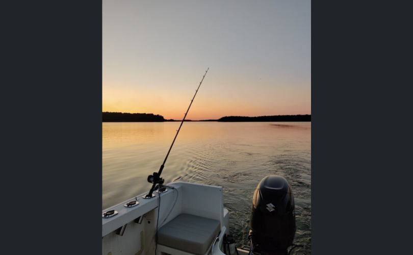 Quicksilver 555 Pilothouse-kuva-5